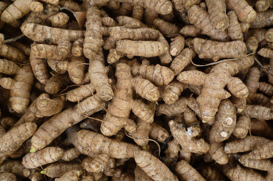 Close-up of a pile of dried ginger roots